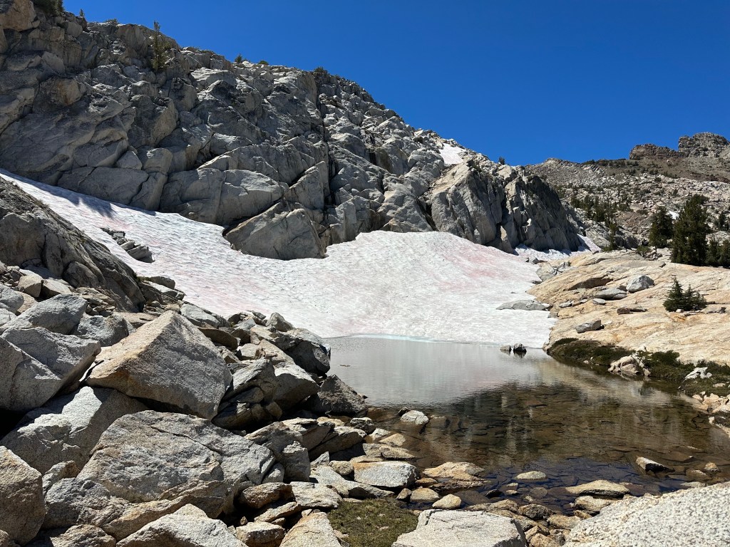 A little glacier - see the light blue color at the very bottom of the ice sheet.
